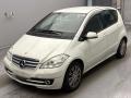 2010 Mercedes Benz A-Class