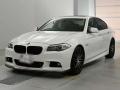 2010 BMW 5 Series
