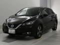 2020 Nissan Leaf