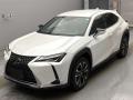 2021 Lexus UX