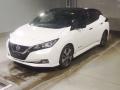 2019 Nissan Leaf