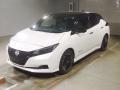 2022 Nissan Leaf