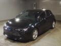 2019 Toyota Corolla Sports