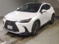 2023 Lexus NX