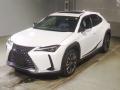2021 Lexus UX