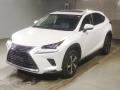 2021 Lexus NX