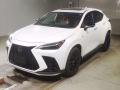 2023 Lexus NX