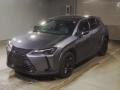 2021 Lexus UX