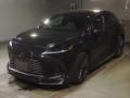 2025 Lexus RX