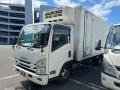2015 Isuzu Elf Truck