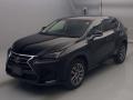 2015 Lexus NX