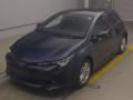 2019 Toyota Corolla Sports