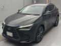 2023 Lexus NX
