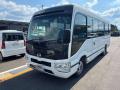 2019 Hino LiesseⅡ