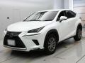 2018 Lexus NX