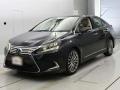 2013 Lexus HS