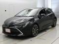 2021 Toyota Corolla Sports