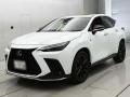 2025 Lexus NX