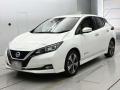 2020 Nissan Leaf