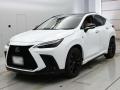 2025 Lexus NX