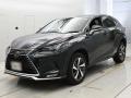 2021 Lexus NX
