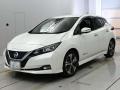 2019 Nissan Leaf