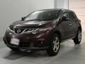2013 Nissan Murano