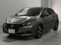 2022 Nissan Leaf