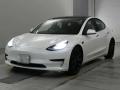 2020 Others MODEL 3