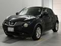 2012 Nissan JUKE
