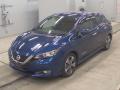 2019 Nissan Leaf