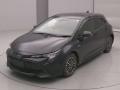 2019 Toyota Corolla Sports