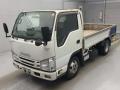 2019 Isuzu Elf Truck