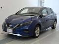 2022 Nissan Leaf