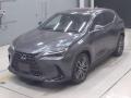 2023 Lexus NX