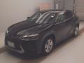 2020 Lexus UX