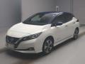 2020 Nissan Leaf