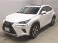 2020 Lexus NX