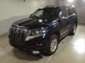 2019 Toyota Land Cruiser Prado