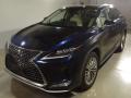 2021 Lexus RX