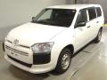2019 Toyota Probox