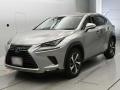 2019 Lexus NX