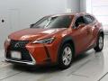 2019 Lexus UX
