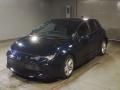 2021 Toyota Corolla Sports