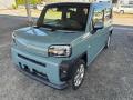2021 Daihatsu TAFT