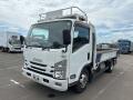 2020 Isuzu Elf Truck