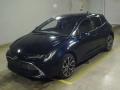 2019 Toyota Corolla Sports