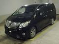 2013 Toyota Alphard