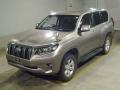 2019 Toyota Land Cruiser Prado
