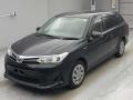 2019 Toyota Corolla Fielder